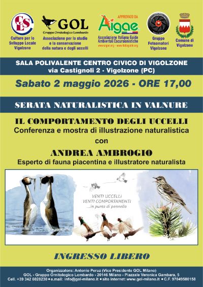 locandina-Andrea-Ambrogio-2-maggio-2026